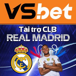 Banner Euro